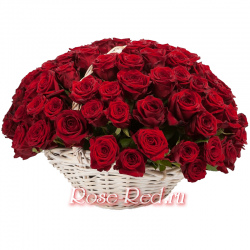 Роза красная моя