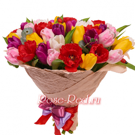 Фейерверк красок