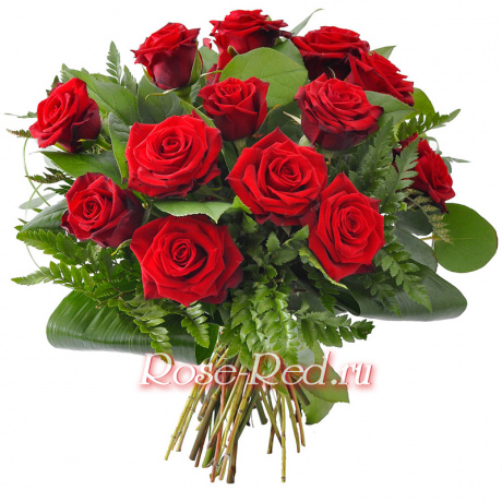 Розовый рай. Розы Красные с зеленью