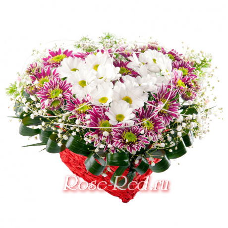 Сердце нежности