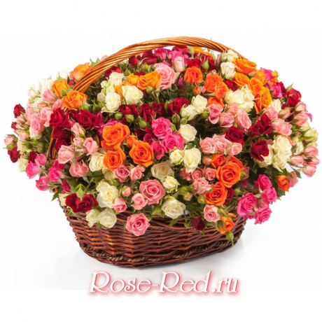 Розовое счастье