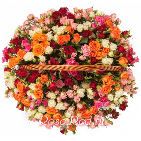 Розовое счастье