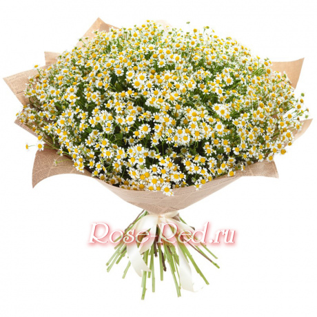 Любовь и верность