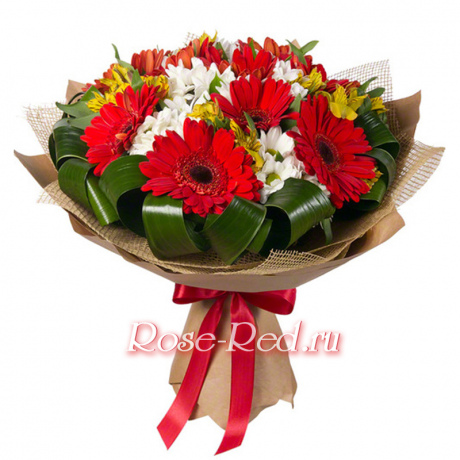 Ясно солнышко