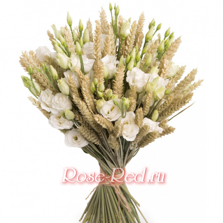 Жаворонок полевой