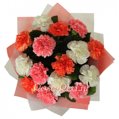 Гвоздичный микс