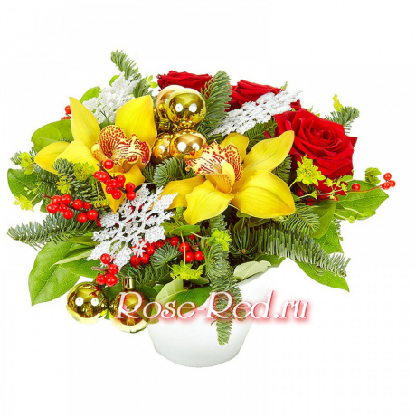 Новогодний сюрприз