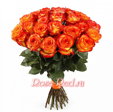 Пламенный цветок