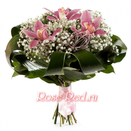 Загадочная красота. Орхидея с зеленью