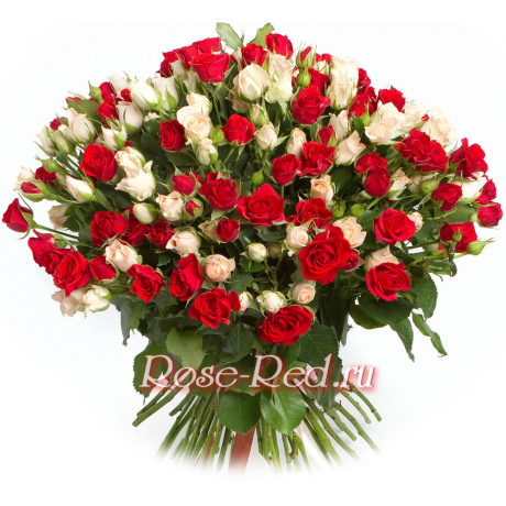 Улыбка счастья