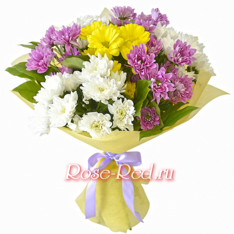 Разноцветные хризантемы