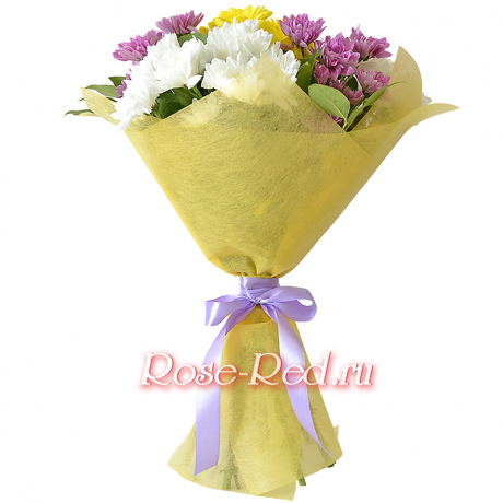 Разноцветные хризантемы