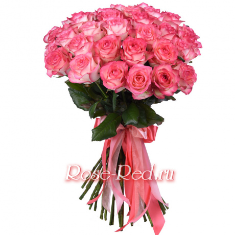 Джумилия Нежные розы