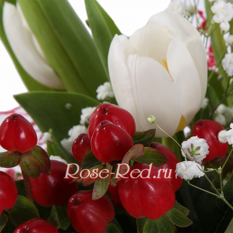 Рябина на снегу