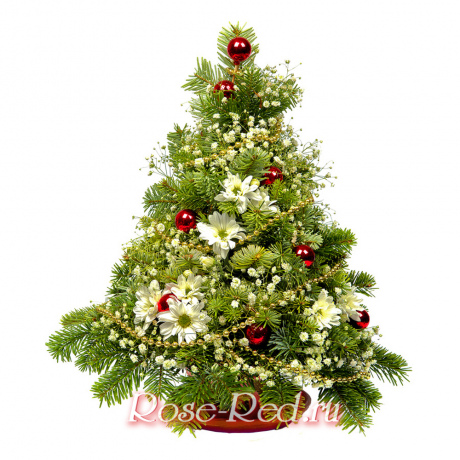 Светлый праздник