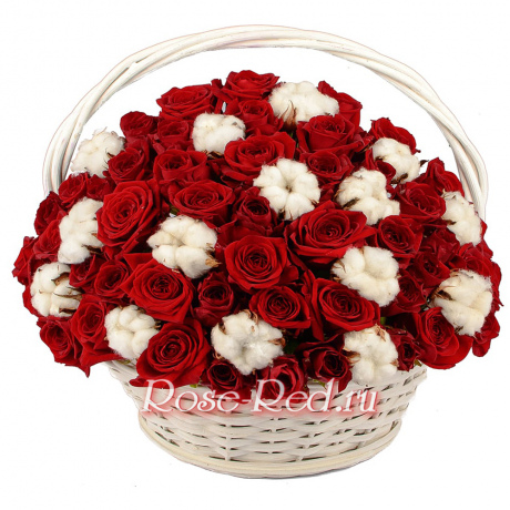 Исполнение желаний