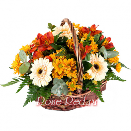 Лета островок