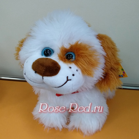 Маленький дружок