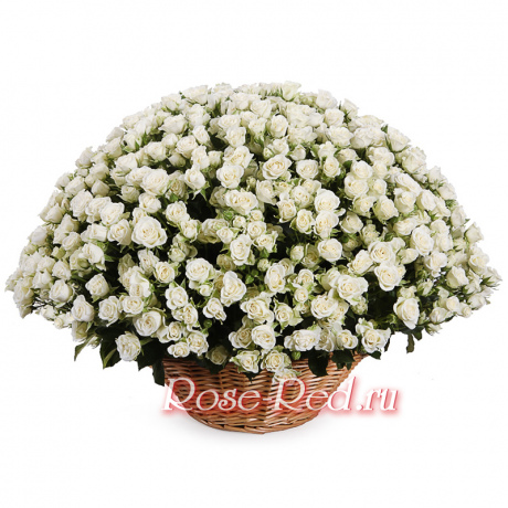 Белая королева