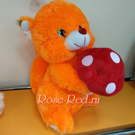 Озорная белочка