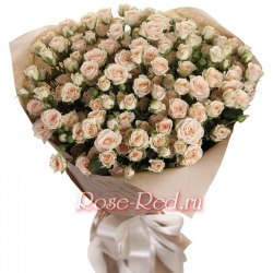 Ненаглядная краса