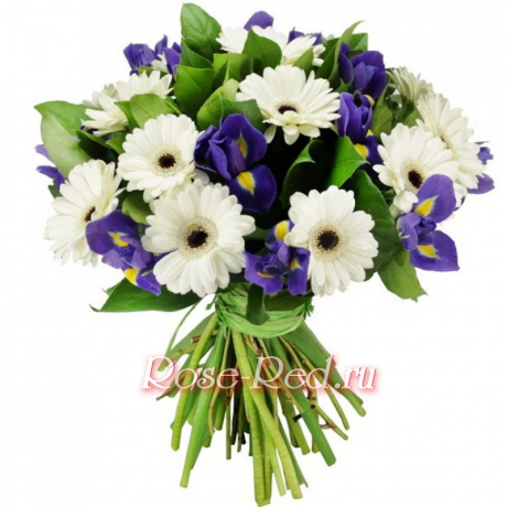 Воздушный поцелуй