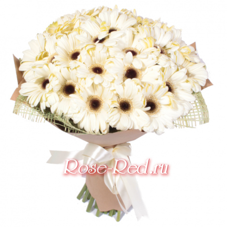 Белые звезды