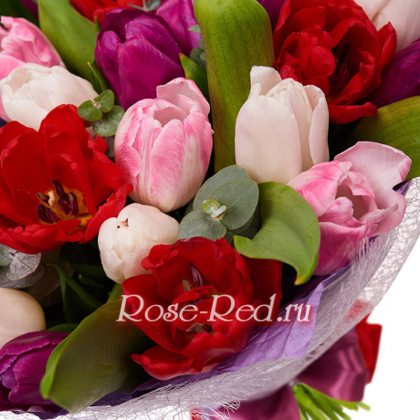 Яркие впечатления