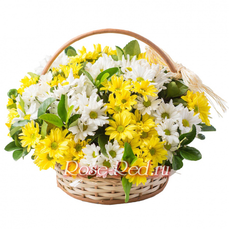 Лето круглый год