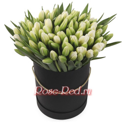 Большая искренность