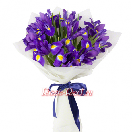 Радужные мечты