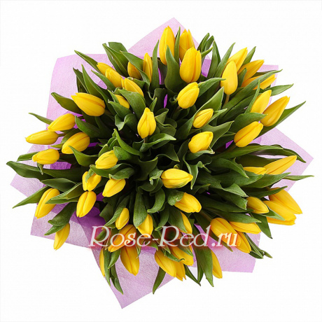 Солнечные блики