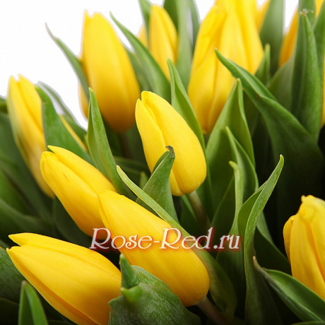 Солнечные блики