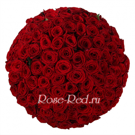 101 красавица